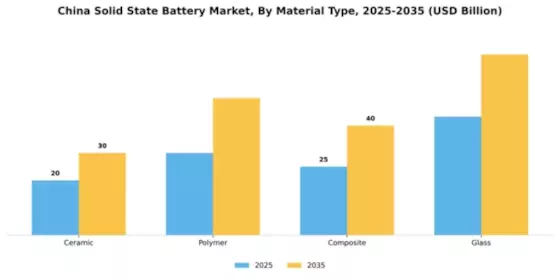 China Solid State Battery Market Segment Image 3