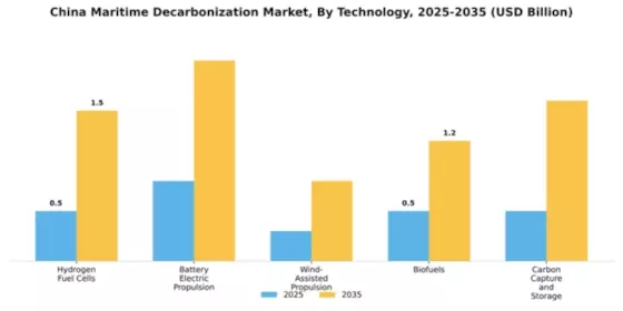China Maritime Decarbonization Market Segment Image 2