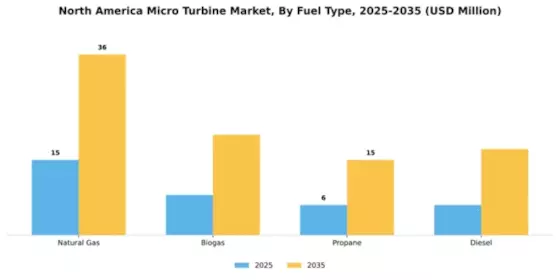 North America Micro Turbine Market Segment Image 2