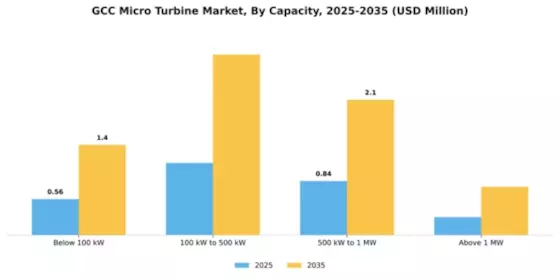 GCC Micro Turbine Market Segment Image 1