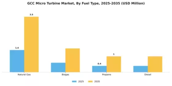 GCC Micro Turbine Market Segment Image 3