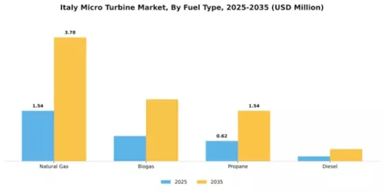 Italy Micro Turbine Market Segment Image 2