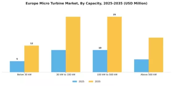 Europe Micro Turbine Market Segment Image 1