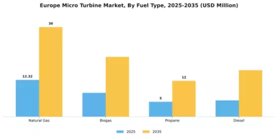 Europe Micro Turbine Market Segment Image 3