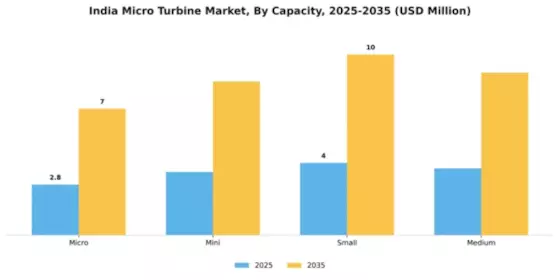 India Micro Turbine Market Segment Image 1