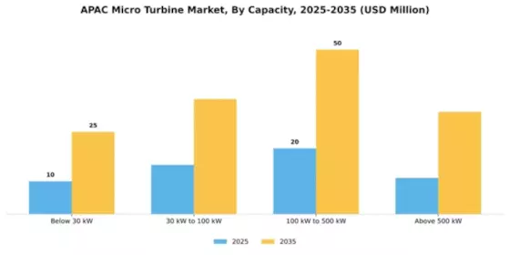 APAC Micro Turbine Market Segment Image 1