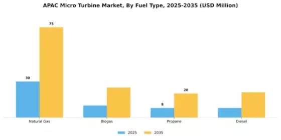 APAC Micro Turbine Market Segment Image 3