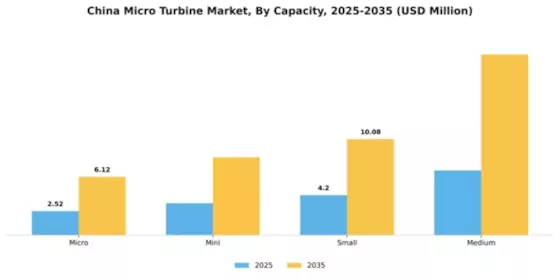 China Micro Turbine Market Segment Image 1