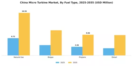 China Micro Turbine Market Segment Image 3