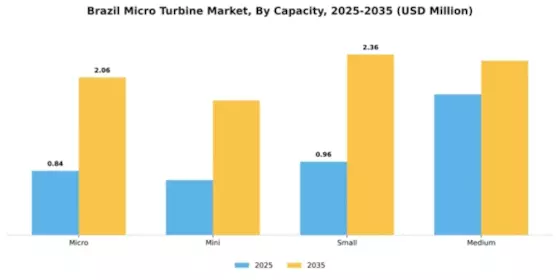 Brazil Micro Turbine Market Segment Image 1