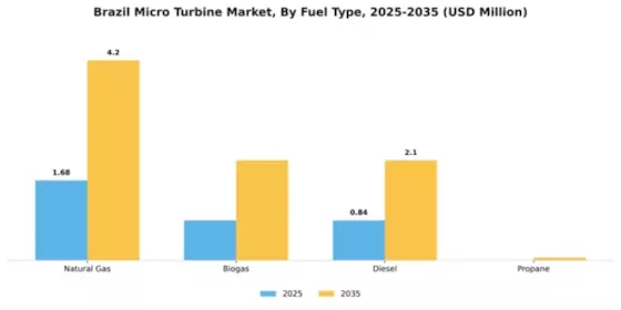 Brazil Micro Turbine Market Segment Image 3