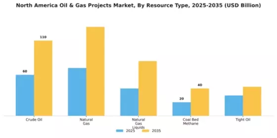 North America Oil & Gas Projects Market Segment Image 2