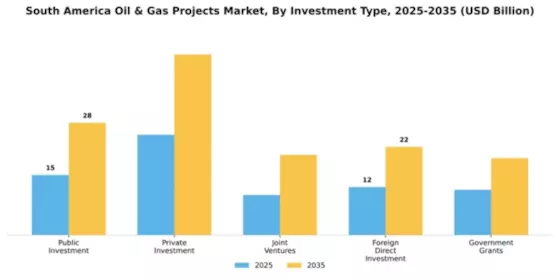 South America Oil & Gas Projects Market Segment Image 1