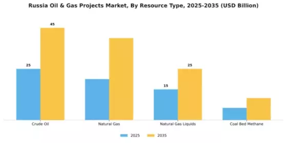 Russia Oil & Gas Projects Market Segment Image 2