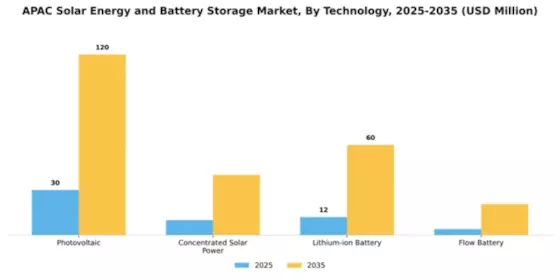 APAC Solar Energy and Battery Storage Market Segment Image 3
