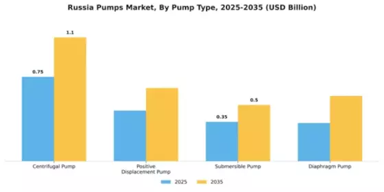Russia Pumps Market Segment Image 3