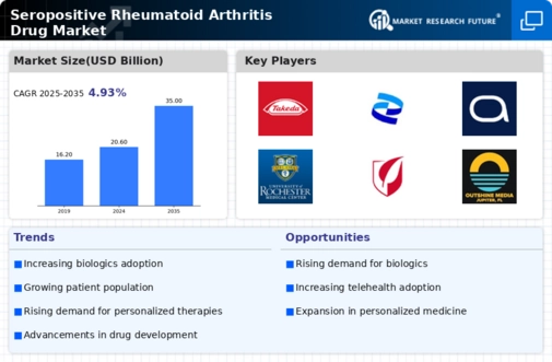 Seropositive Rheumatoid Arthritis Drug Market Infographic