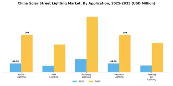 China Solar Street Lighting Market Segment Image 0