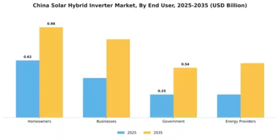 China Solar Hybrid Inverter Market Segment Image 1