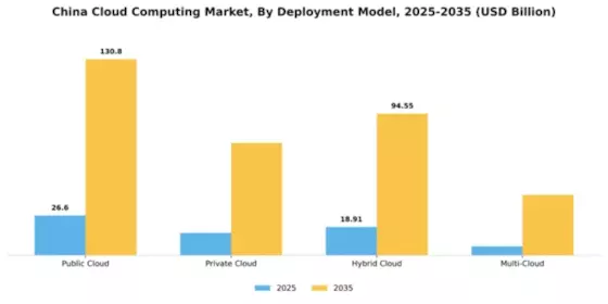 China Cloud Computing Market Segment Image 0