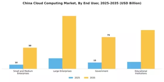 China Cloud Computing Market Segment Image 1