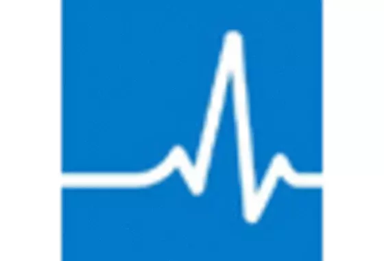 South America Travel Insurance Market key player