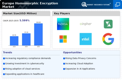 Europe Homomorphic Encryption Market Infographic