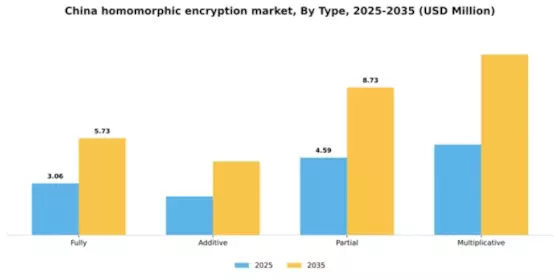 China Homomorphic Encryption Market Segment Image 1