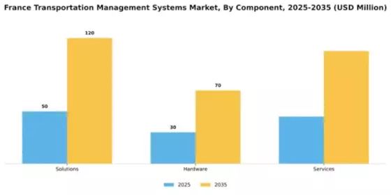 France Transportation Management Systems Market Segment Image 0