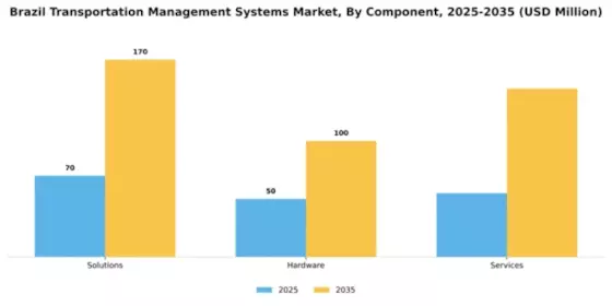 Brazil Transportation Management Systems Market Segment Image 0