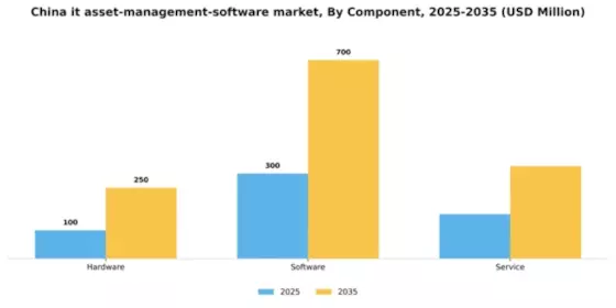China IT Asset Management Software Market Segment Image 0