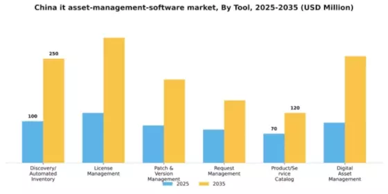 China IT Asset Management Software Market Segment Image 4