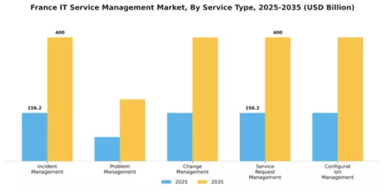 France IT Service Management Market Segment Image 3