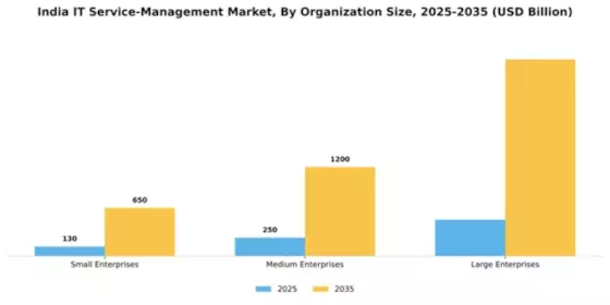 India IT Service Management Market Segment Image 2