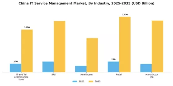 China IT Service Management Market Segment Image 1