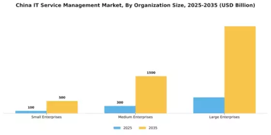 China IT Service Management Market Segment Image 2