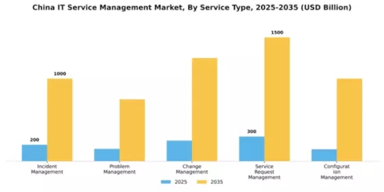 China IT Service Management Market Segment Image 3