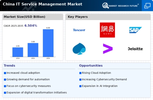 China IT Service Management Market Infographic