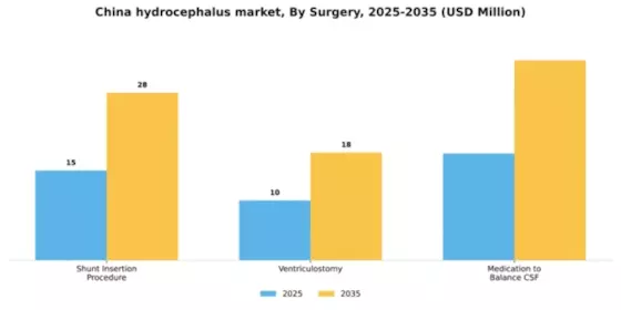 China Hydrocephalus Market Segment Image 2