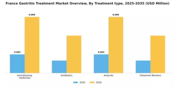 France Gastritis Treatment Market Segment Image 3