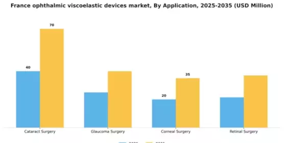 France Ophthalmic Viscoelastic Devices Market Segment Image 0