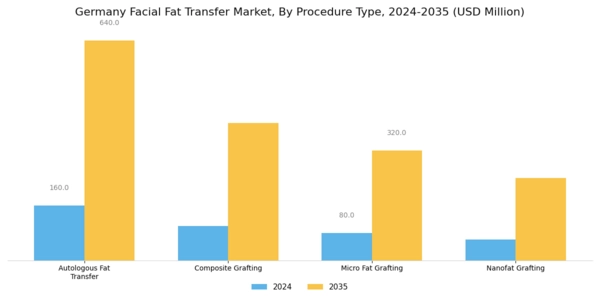 Germany Facial Fat Transfer Market Segment Image 0