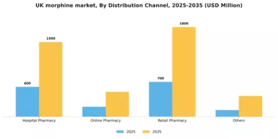 UK Medical Morphine Market Segment Image 1