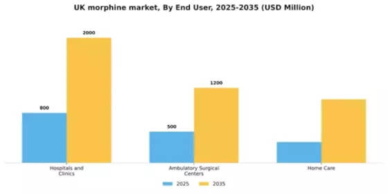 UK Medical Morphine Market Segment Image 2