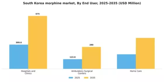 South Korea Medical Morphine Market Segment Image 2