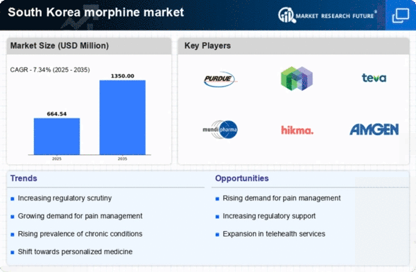 South Korea Medical Morphine Market Infographic