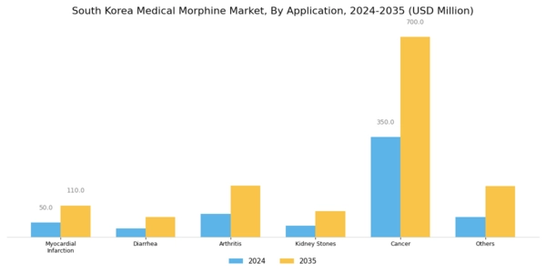 South Korea Medical Morphine Market Segment Image 2
