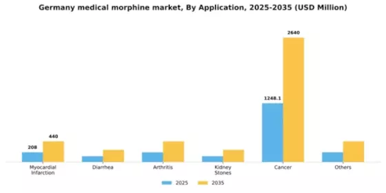 Germany Medical Morphine Market Segment Image 0