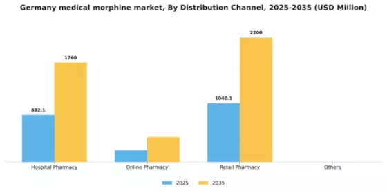 Germany Medical Morphine Market Segment Image 1