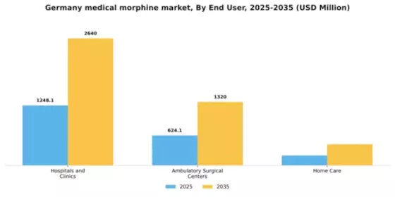 Germany Medical Morphine Market Segment Image 2